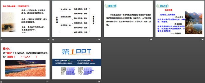 图片[5]-《孤独之旅》PPT课件下载-第一PPT