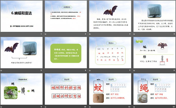 图片[2]-《蝙蝠和雷达》PPT-第一PPT