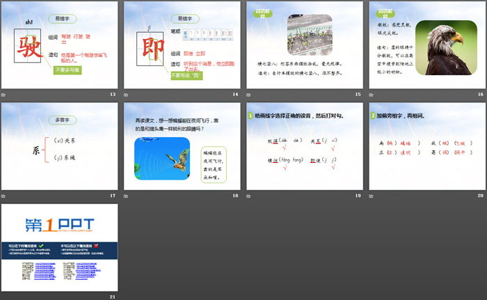 图片[3]-《蝙蝠和雷达》PPT-第一PPT