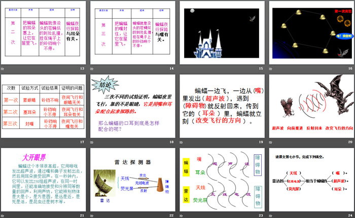 图片[3]-《蝙蝠和雷达》PPT教学课件-第一PPT