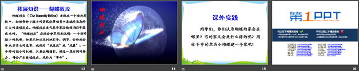 图片[3]-《蝴蝶的家》PPT-第一PPT