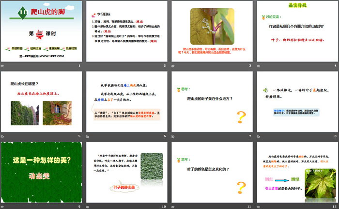 图片[2]-《爬山虎的脚》第二课时PPT-第一PPT