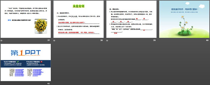 图片[5]-《爬山虎的脚》第二课时PPT-第一PPT