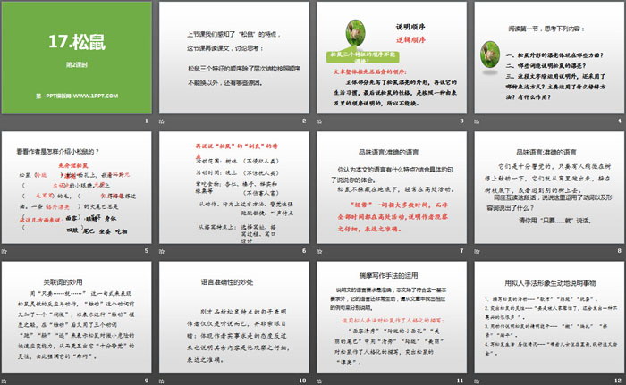 图片[2]-《松鼠》第二课时PPT-第一PPT