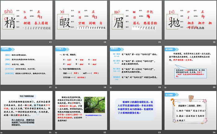 图片[3]-《鸟的天堂》PPT-第一PPT