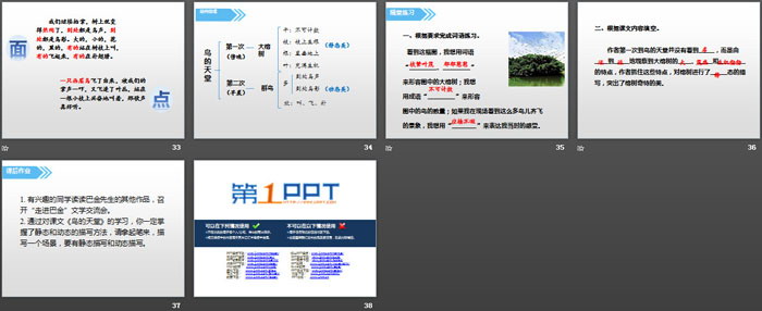 图片[5]-《鸟的天堂》PPT-第一PPT