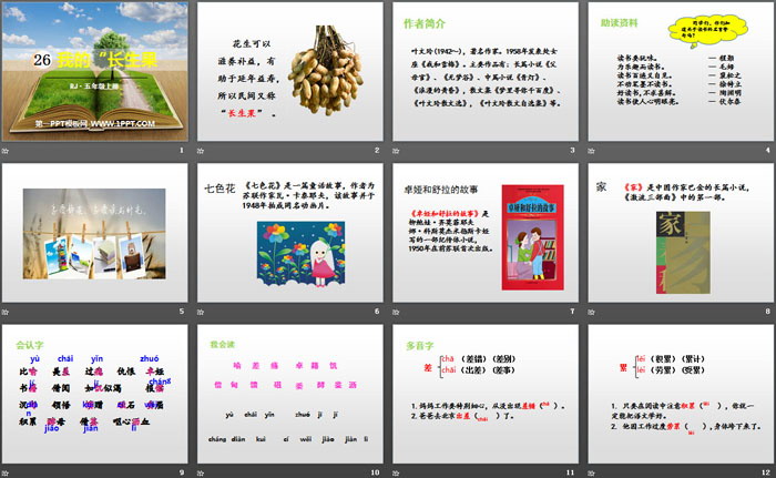 图片[2]-《我的“长生果”》PPT教学课件-第一PPT