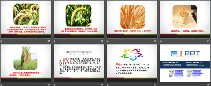 图片[4]-《语文园地六》PPT(六年级上册)-第一PPT