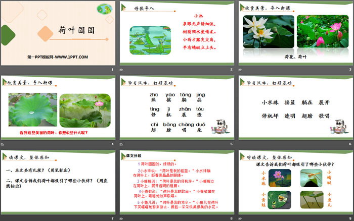 图片[2]-《荷叶圆圆》PPT下载-第一PPT