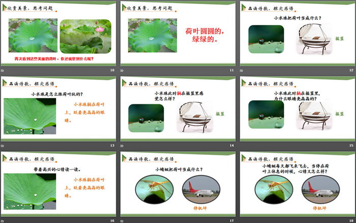 图片[3]-《荷叶圆圆》PPT下载-第一PPT