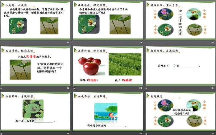 图片[4]-《荷叶圆圆》PPT下载-第一PPT