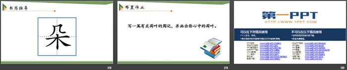 图片[5]-《荷叶圆圆》PPT下载-第一PPT