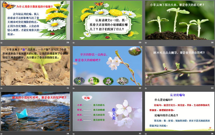 图片[5]-《找春天》PPT教学课件-第一PPT