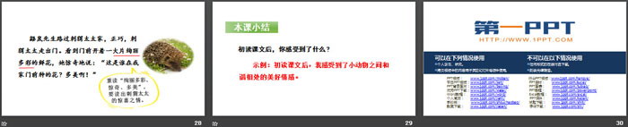 图片[5]-《开满鲜花的小路》PPT(第一课时)-第一PPT