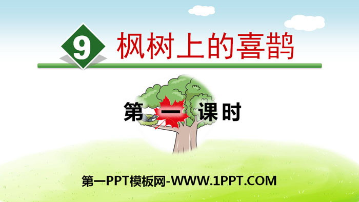 图片[1]-《枫树上的喜鹊》PPT(第一课时)-第一PPT