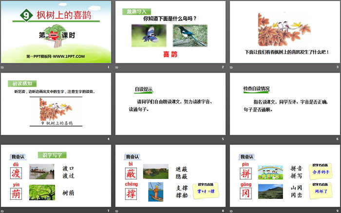 图片[2]-《枫树上的喜鹊》PPT(第一课时)-第一PPT