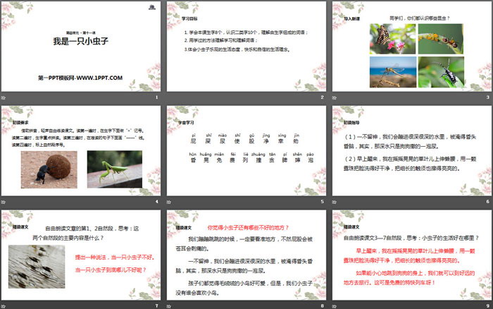 图片[2]-《我是一只小虫子》PPT下载-第一PPT