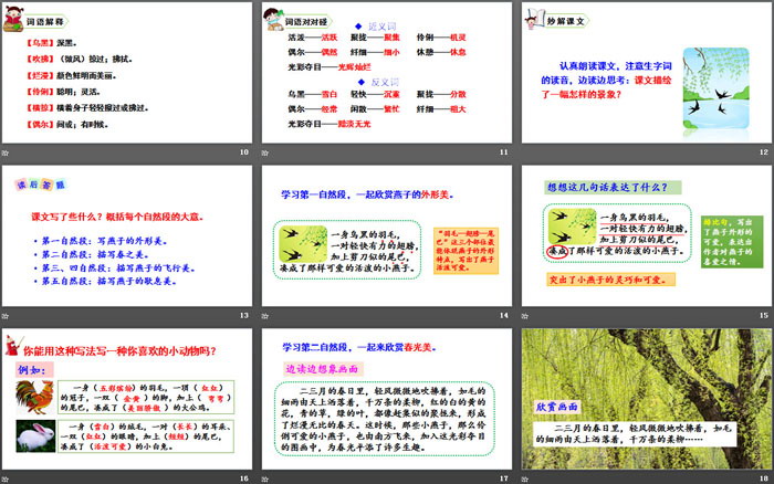 图片[3]-《燕子》PPT课件下载-第一PPT