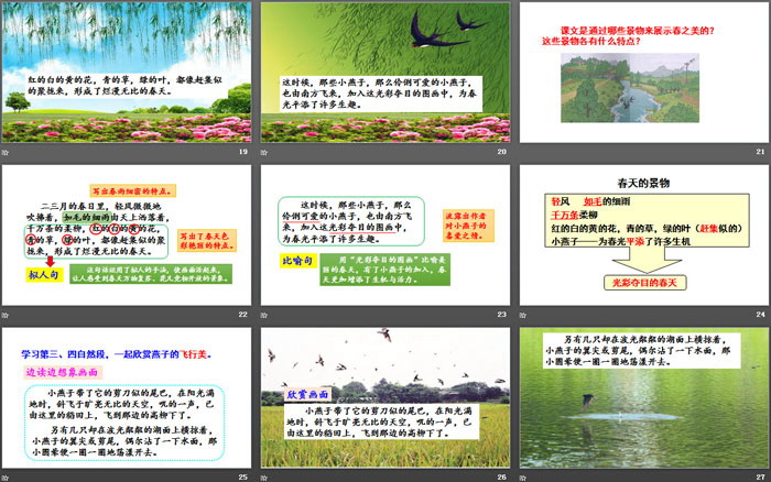 图片[4]-《燕子》PPT课件下载-第一PPT