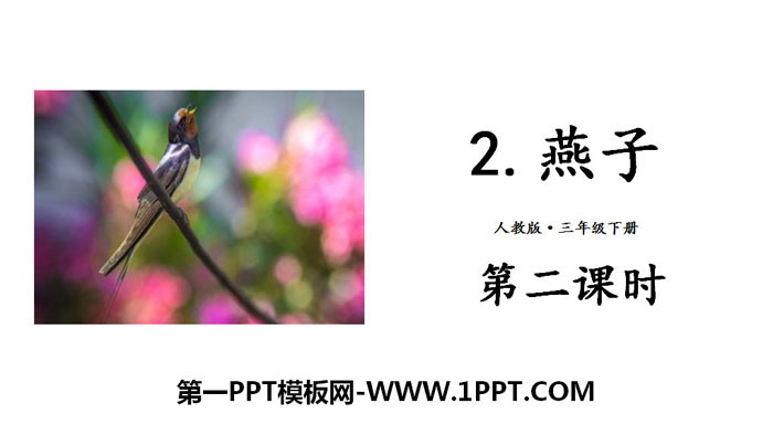 图片[1]-《燕子》PPT下载(第二课时)-第一PPT