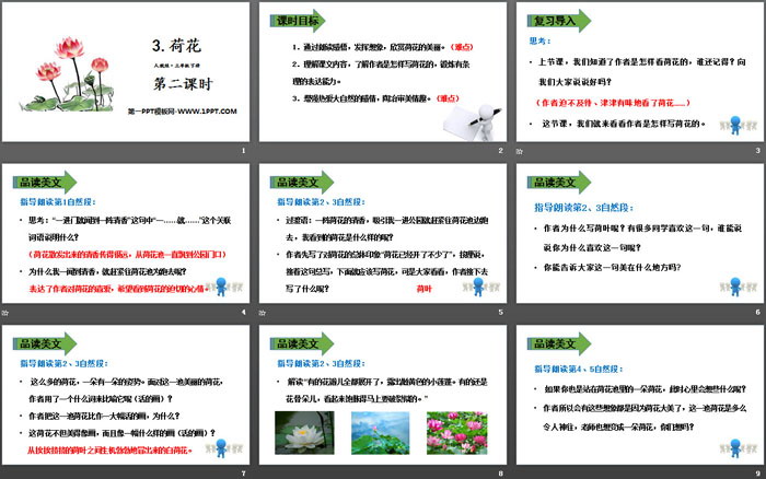 图片[2]-《荷花》PPT课件(第二课时)-第一PPT