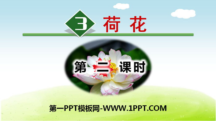 图片[1]-《荷花》PPT下载(第二课时)-第一PPT
