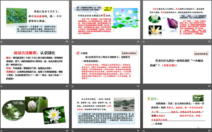 图片[3]-《荷花》PPT下载(第二课时)-第一PPT