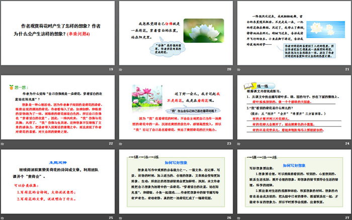 图片[4]-《荷花》PPT下载(第二课时)-第一PPT