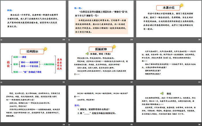 图片[5]-《荷花》PPT下载(第二课时)-第一PPT