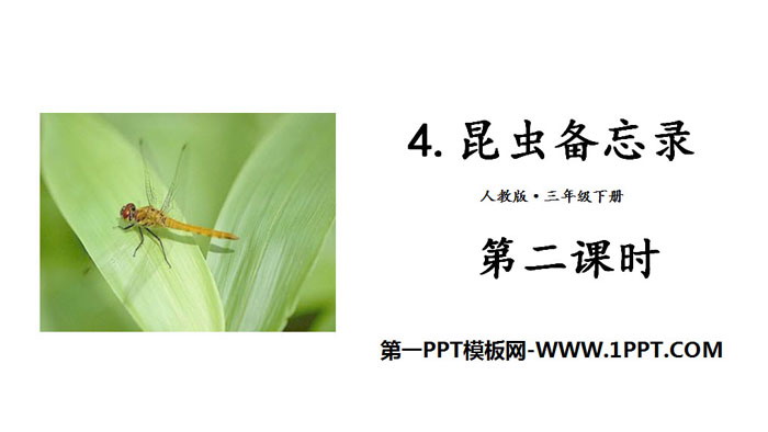 图片[1]-《昆虫备忘录》PPT(第二课时)-第一PPT