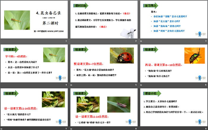 图片[2]-《昆虫备忘录》PPT(第二课时)-第一PPT
