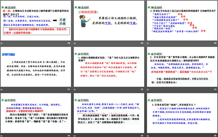 图片[5]-《一棵小桃树》PPT教学课件-第一PPT