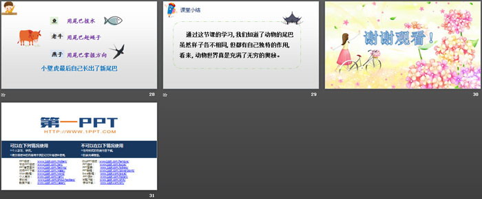 图片[5]-《小壁虎借尾巴》PPT课件下载-第一PPT