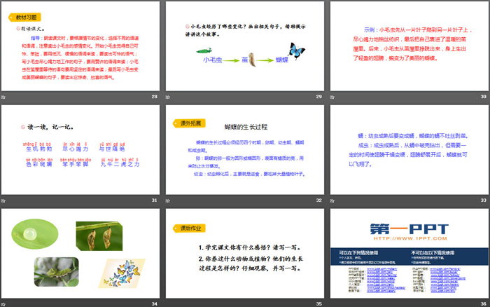 图片[5]-《小毛虫》PPT课件下载-第一PPT