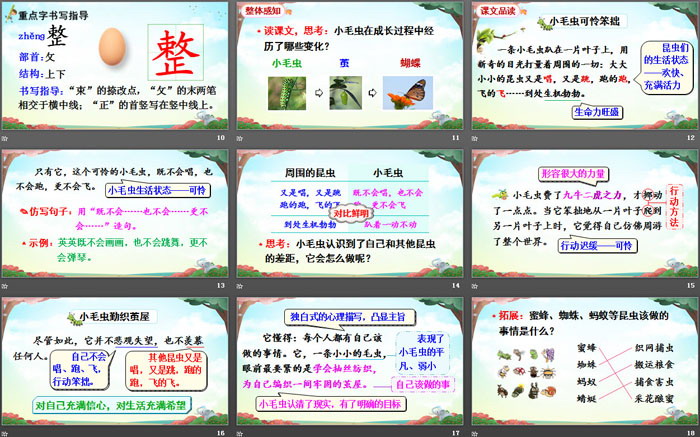 图片[3]-《小毛虫》PPT免费课件-第一PPT