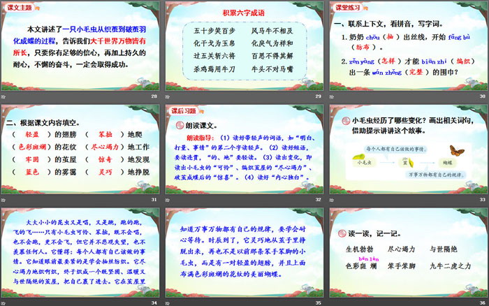 图片[5]-《小毛虫》PPT免费课件-第一PPT