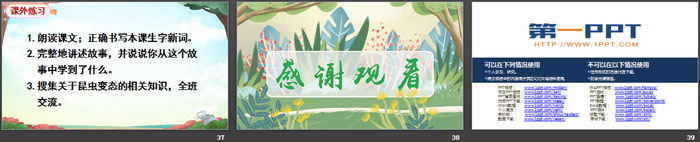 图片[6]-《小毛虫》PPT免费课件-第一PPT