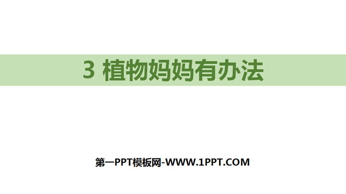 图片[1]-《植物妈妈有办法》PPT优秀课件-第一PPT