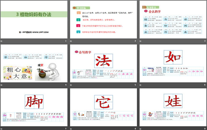 图片[2]-《植物妈妈有办法》PPT优秀课件-第一PPT