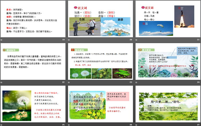 图片[4]-《植物妈妈有办法》PPT优秀课件-第一PPT