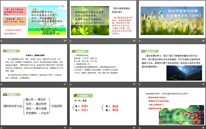 图片[5]-《植物妈妈有办法》PPT优秀课件-第一PPT