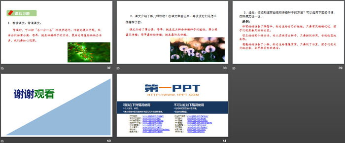 图片[6]-《植物妈妈有办法》PPT优秀课件-第一PPT
