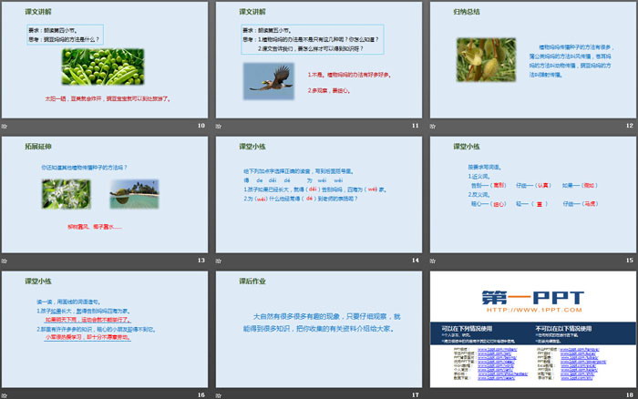 图片[3]-《植物妈妈有办法》PPT精品课件-第一PPT