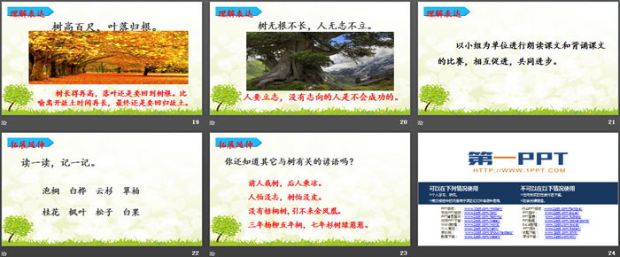 图片[4]-《树之歌》PPT下载-第一PPT