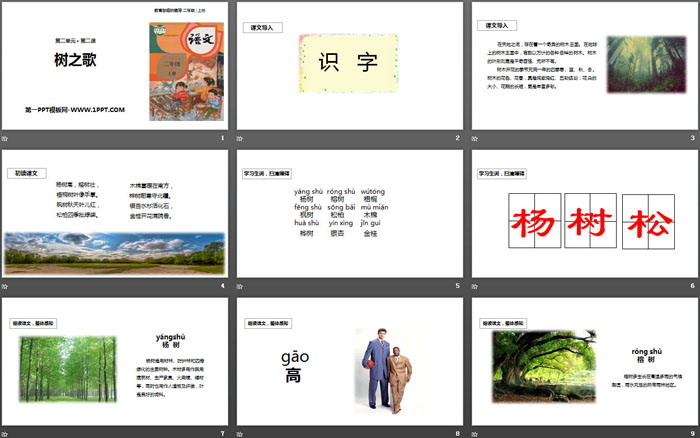 图片[2]-《树之歌》PPT精品课件-第一PPT