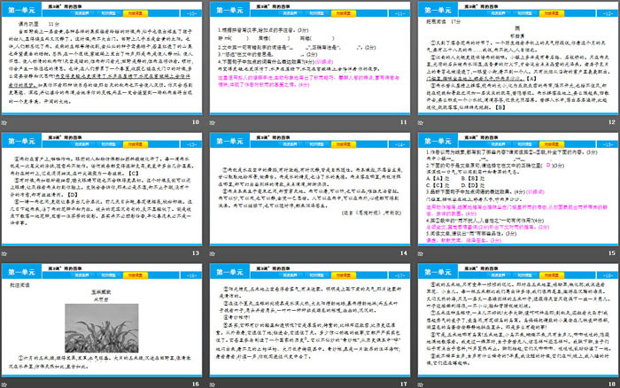 图片[3]-《雨的四季》PPT免费课件-第一PPT