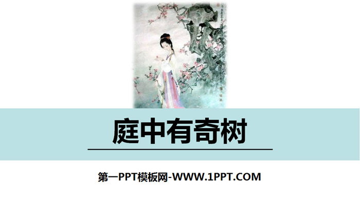 图片[1]-《庭中有奇树》课外古诗词诵读PPT-第一PPT