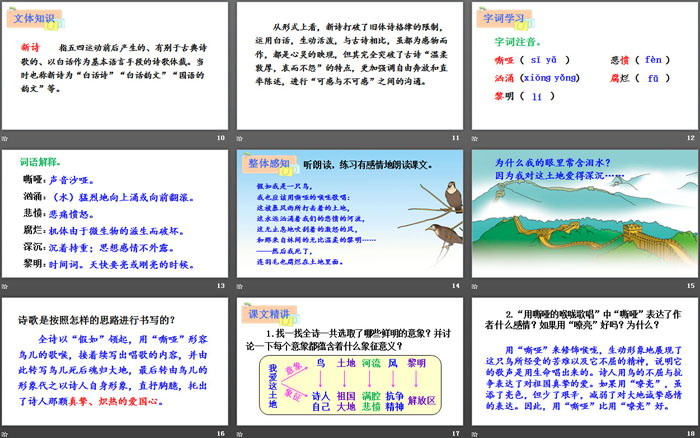 图片[3]-《我爱这土地》PPT优秀课件-第一PPT