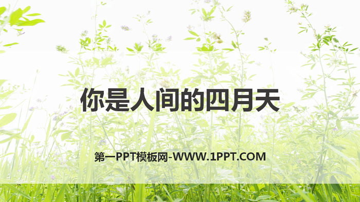图片[1]-《你是人间的四月天》PPT优质课件-第一PPT