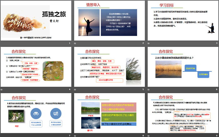 图片[2]-《孤独之旅》PPT免费课件-第一PPT